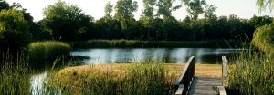 Retreats at POSTOAK Lodge & Retreat